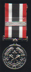 [Special Service Medal]